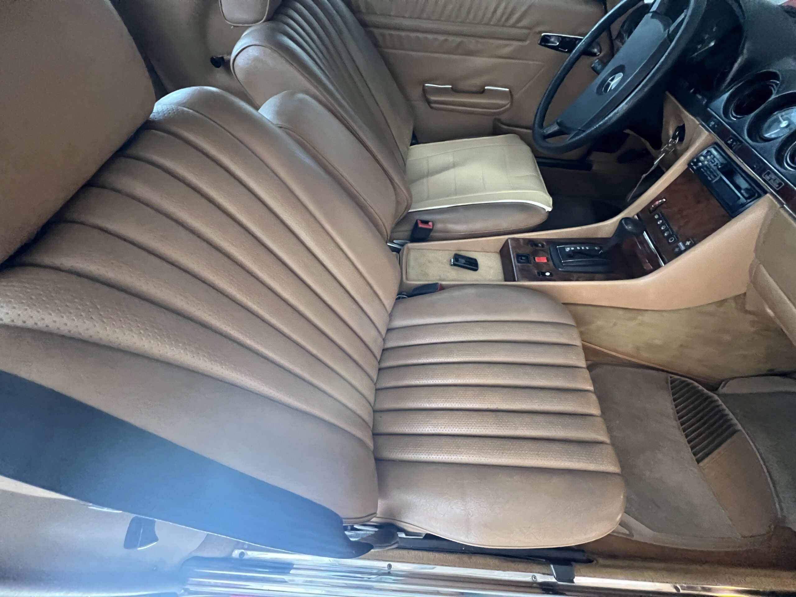 Photo 2024-03-18, 12 18 06 PM